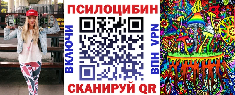 shop какой сайт  Родники  Галлюциногенные грибы Cubensis 